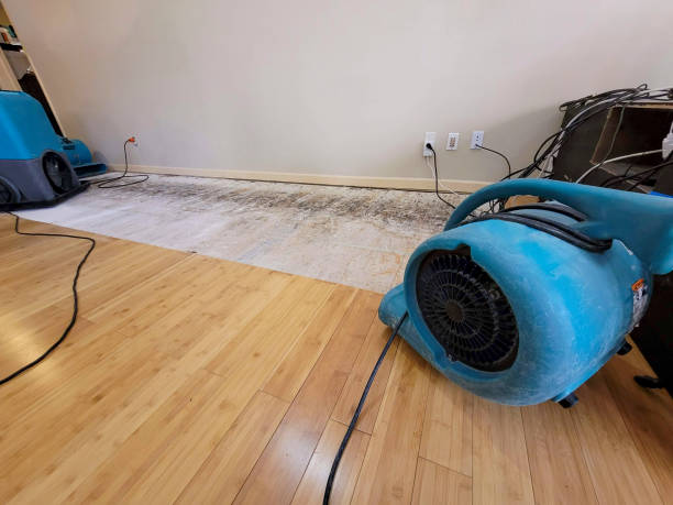 Professional Water Removal technician working in Perry, LA